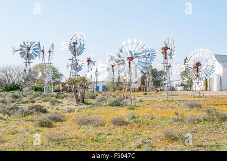 LOERIESFONTEIN, Südafrika - 11. August 2015: The Windmill Museum neben dem Fred Turner Museum im Loeriefontein in der Namaq Stockfoto