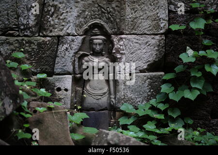 Weibliche Steinbildhauen in Banteay Cchmar unterstützt von ivy Stockfoto