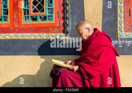 Tibetean Mönch Lesen der heiligen Schriften in tibetean Sprache am Fuße des boudnath Stupa Stockfoto