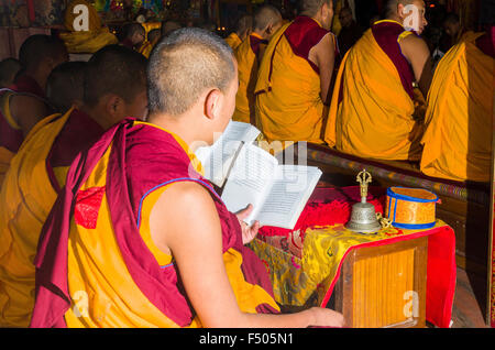 Junge tibetean Mönche Lesen der heiligen Schriften in tibetean Sprache in einem Kloster in der Nähe von boudnath Stupa Stockfoto