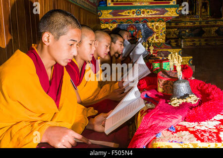 Junge tibetean Mönche Lesen der heiligen Schriften in tibetean Sprache in einem Kloster in der Nähe von boudnath Stupa Stockfoto