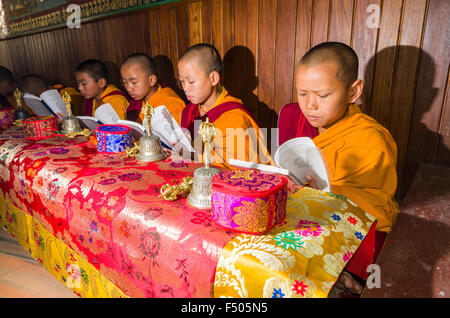 Junge tibetean Mönche Lesen der heiligen Schriften in tibetean Sprache in einem Kloster in der Nähe von boudnath Stupa Stockfoto