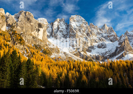 Die Pale di San Martino massiv im Herbst. Val Venegia Tal. Die Dolomiten von Paneveggio-Pale di San Martino Nature Park. Trentino. Italienische Alpen. Stockfoto