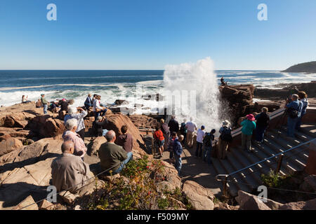 Touristen beobachten die Wellen, die auf die Felsen krachen, Thunder Hole, Acadia National Park, Maine, New England USA Stockfoto