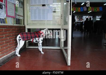 25. Oktober 2015 - Buenos Aires, Buenos Aires, Argentinien - außerhalb einer Abstimmung Lage, wartet ein Hund während seines Besitzers ihre Stimme wirft. Präsidentschaftswahlen in Argentinien zu entscheiden, die Präsidentin Cristina Fernandez Kirchner für die nächste Wahlperiode folgen werden. Regierenden Parteianwärter Daniel Scioli führt alle Umfragen, gefolgt von Buenos Aires Bürgermeister Mauricio Macri, die Frage ist, wenn Scioli in der ersten Runde gewinnt oder ob es wird eine zweite. (Kredit-Bild: © Patricio Murphy über ZUMA Draht) Stockfoto