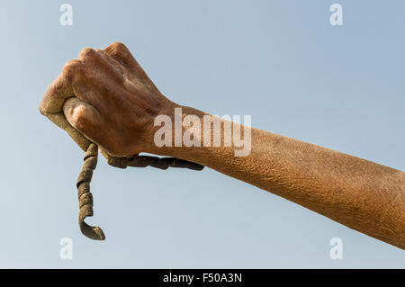 Die verkrüppelten Hand eines Shiva sadhu von juna akhara, heiliger Mann, üben urdha Tapa, heben ohne Arm für viele Jahre für spirituelle Stockfoto