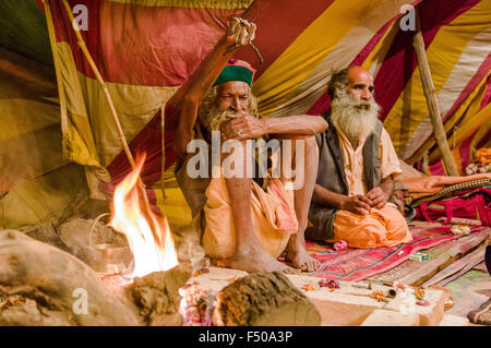 Shiva sadhu von juna akhara, heiliger Mann, üben urdha Tapa, heben ohne Arm für viele Jahre für spirituelle Grund in seinem Zelt Stockfoto