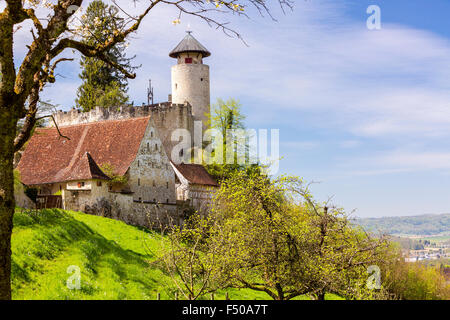 Birseck Schloss (Burg Birseck), Arlesheim, Kanton Basel-Landschaft, Schweiz Stockfoto