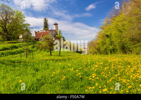 Birseck Schloss (Burg Birseck), Arlesheim, Kanton Basel-Landschaft, Schweiz Stockfoto