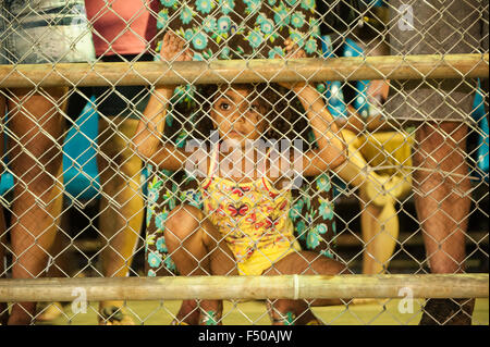 Palmas, Bundesstaat Tocantins, Brasilien. 24. Oktober 2015. Ein einheimisches Mädchen Uhren der internationalen indigenen Spiele in der Stadt von Palmas, Bundesstaat Tocantins, Brasilien. Bildnachweis: Sue Cunningham fotografischen/Alamy Live-Nachrichten Stockfoto