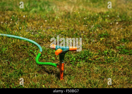 Kunststoff grün und orange Garten Sprinkler verbunden mit einem grünen Schlauch Besprühen mit Wasser und Spinnen auf dem Rasen Rasen. Bewegungsunschärfe. Stockfoto