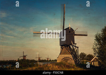 Windmühle in Kinderdijk Stockfoto