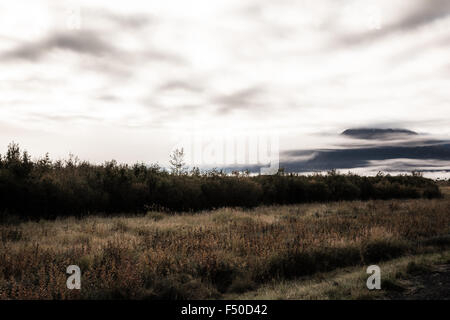 Aussicht von den Seward Highway in Girwood, Alaska. Stockfoto