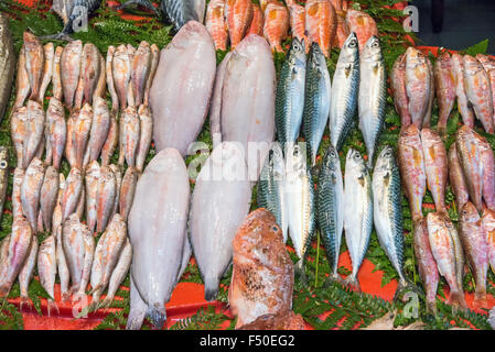 Fisch zum Verkauf auf einem Markt in Istanbul, Türkei Stockfoto