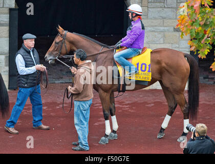 Lexington, Kentucky, USA. 25. Oktober 2015. 25. Oktober 2015:. Scott Serio/ESW/CSM/Alamy Live News Bildnachweis: Cal Sport Media/Alamy Live-Nachrichten Stockfoto