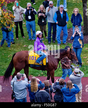 Lexington, Kentucky, USA. 25. Oktober 2015. 25. Oktober 2015: Betrachter, von Richard E. Mandella geschult und im Besitz von B. Wayne Hughes, Schulen im Fahrerlager in Vorbereitung auf den Breeders' Cup Classic bei Keeneland Race Track in Lexington, Kentucky Scott Serio/ESW/CSM/Alamy Live News Bildnachweis: Cal Sport Media/Alamy Live News Stockfoto