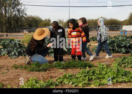 Studenten erfahren Sie mehr über Landwirtschaft in Tucson Bauernhof, Tucson, Arizona, USA. Stockfoto