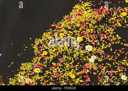 Gelbe und rote Blumen sind schwimmend auf dem Wasser nach, von dem man dem heiligen Fluss Yamuna gegeben worden Stockfoto