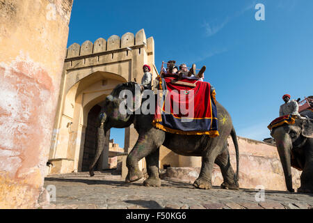 Elefanten sind die Touristen auf eine Fahrt bis zu den Schlössern von Amber Fort Stockfoto