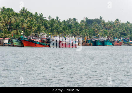 Eine typische Landschaft mit Wasser, Kanal, Palmen und Fischerboote in keralas Backwaters Stockfoto