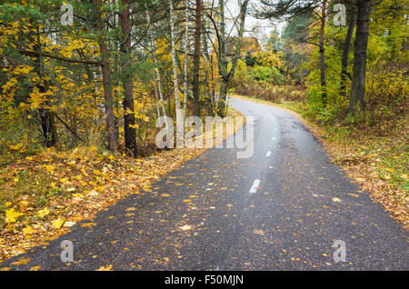 Ländliche Herbstlandschaft Asphaltstraße mit gelben Laub Stockfoto