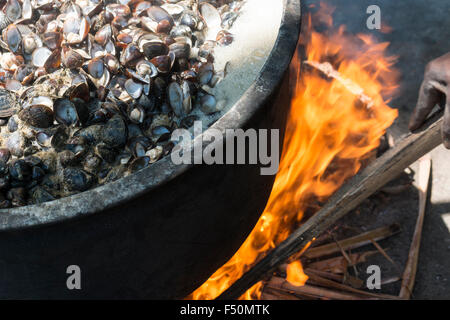 Muscheln sind in einem großen Pott kocht auf offenem Feuer Stockfoto