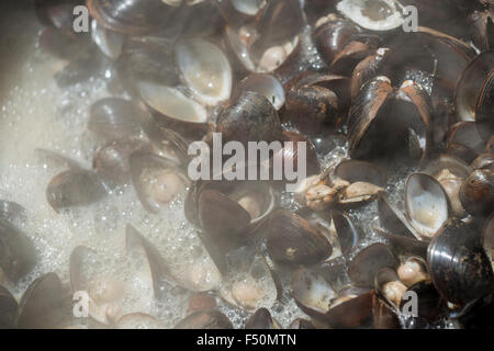 Muscheln sind in einem großen Pott kocht auf offenem Feuer Stockfoto