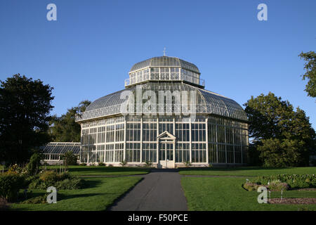 Die großen Palmen Haus an die National Botanic Gardens in Dublin Irland Stockfoto