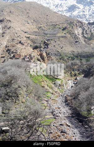 Ausgetrocknet Flussbett, typische entfernten Berg Dorf und Terrassen, Atlasgebirge, Marokko, Nordafrika Stockfoto