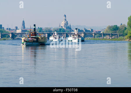 Alle steamboots Dresden weiße Flotte bilden eine Parade auf der Eröffnungsfeier der steamboot-Saison im Mai jedes Jahr Stockfoto