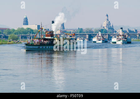 Alle steamboots Dresden weiße Flotte bilden eine Parade auf der Eröffnungsfeier der steamboot-Saison im Mai jedes Jahr Stockfoto