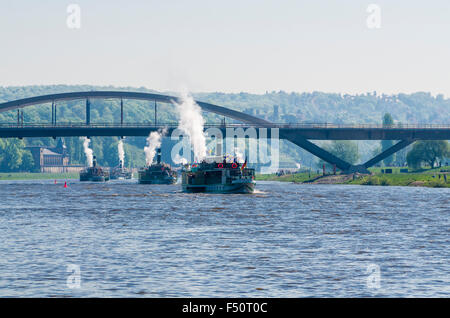 Alle Steamboots Dresden weiße Flotte bilden eine Parade bei der Eröffnungsfeier der Steamboot-Saison im Mai jeden Jahres Stockfoto