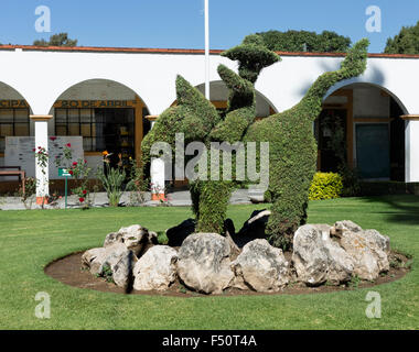 Gartenarbeit braucht eine Kunstform in den kleinen Park vor ein Rathaus in Santa Maria del Tule, Oaxaca, Mexiko. Stockfoto