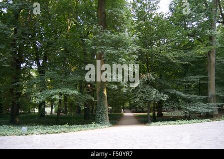 Lazienki Park Warschau Pfad Straße Wasser Grasbäume Stockfoto