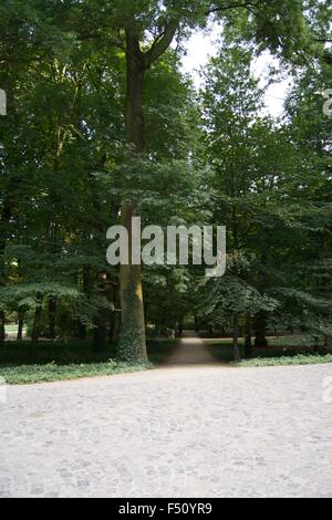 Lazienki Park Warschau Pfad Straße Wasser Grasbäume Stockfoto