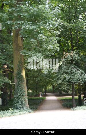 Lazienki Park Warschau Pfad Straße Wasser Grasbäume Stockfoto