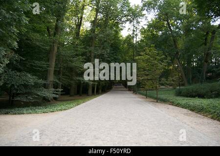 Lazienki Park Warschau Pfad Straße Wasser Grasbäume Stockfoto