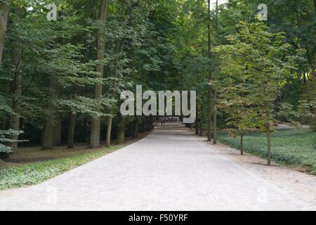 Lazienki Park Warschau Pfad Straße Wasser Grasbäume Stockfoto