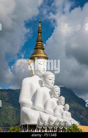 Weiße Buddha-Statue mitten in den Bergen in Thailand, Wat phasornkaew Stockfoto