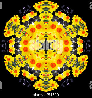 Ein Kaleidoskop Bild von Narzissen Stockfoto