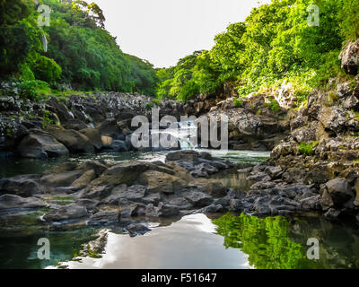 Black River Schluchten-Mauritius Stockfoto