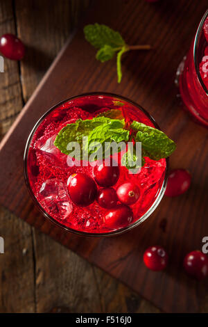 Hausgemachte versoffenen Cranberry Cocktail mit Wodka und Minze Stockfoto