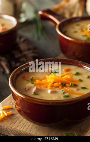 Hausgemachtes Bier-Käse-Suppe mit Schnittlauch und Brot Stockfoto