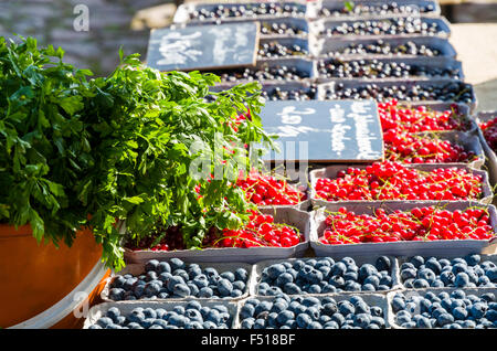 Heidelbeeren und roten Johannisbeeren im Taschenbuch Boxen stehen zum Verkauf auf dem Wochenmarkt neben der Elbe angeboten Stockfoto