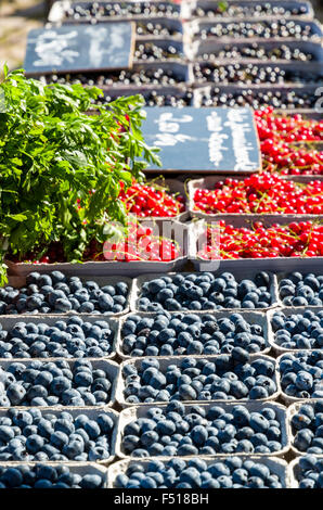 Heidelbeeren und roten Johannisbeeren im Taschenbuch Boxen stehen zum Verkauf auf dem Wochenmarkt neben der Elbe angeboten Stockfoto