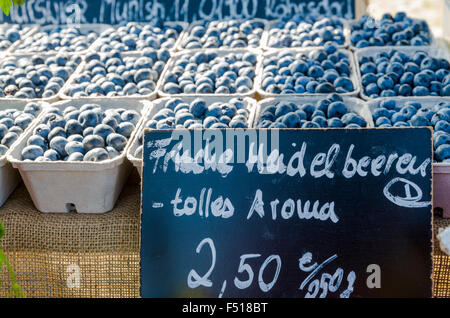 Heidelbeeren im Taschenbuch Boxen mit Preisschild stehen zum Verkauf auf dem Wochenmarkt neben der Elbe angeboten Stockfoto