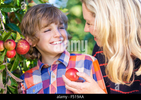 Mutter und Sohn, junge Kind und Frau, gemeinsam lachen, pflücken und Essen einen Apfel in einem Obstgarten außerhalb im Sommersonnenschein Stockfoto