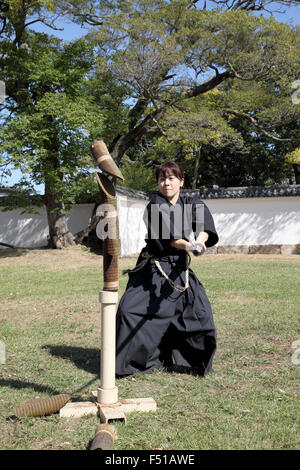 Japanische Kampfkunst mit Katana Schwert Stockfoto