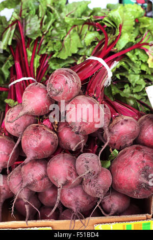 Frische rote Beete zum Verkauf auf dem Markt Stockfoto