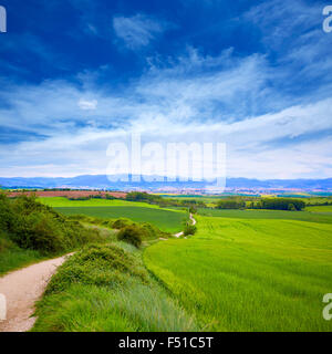 Den Weg des Apostels Jakobus zu verfolgen, zum Alto del Perdon oben in Navarra-Spanien Stockfoto